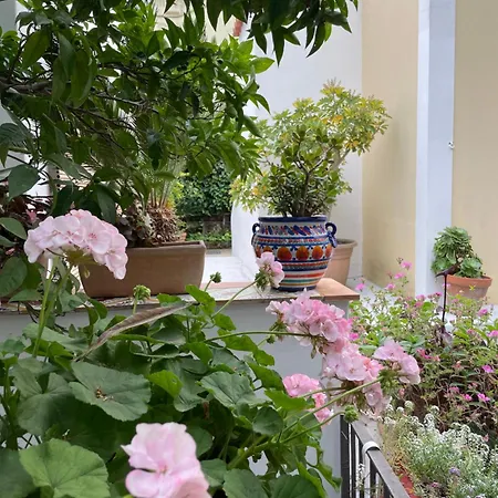 Apartmán Maria